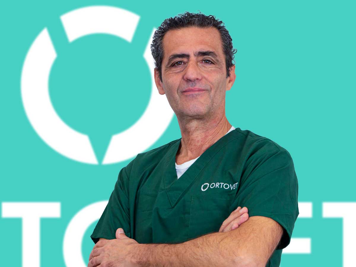 Prof. Martini presenta il nuovo sito