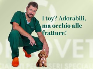 Barboncini Toy Adorabili ma occhio fratture