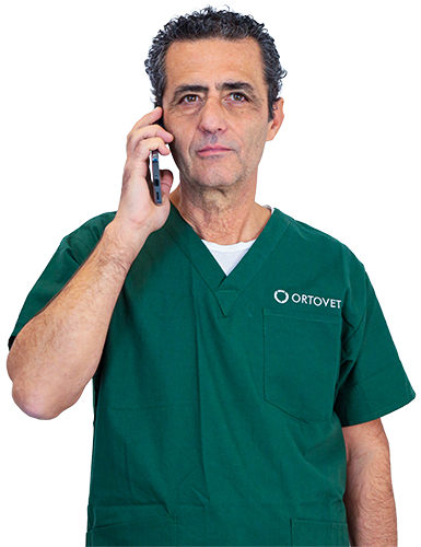 Prof. Martini
